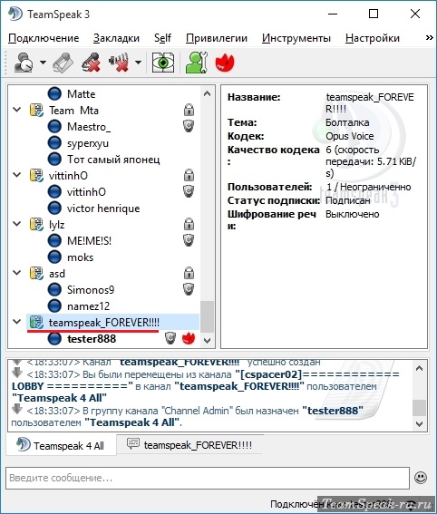 Свой канал на сервере TeamSpeak Свой канал на сервере TeamSpeak