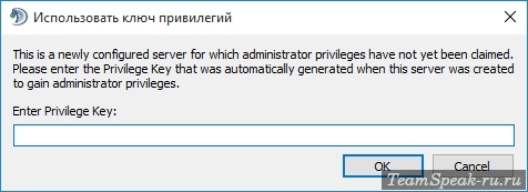 Ввод ключа привилегий в TeamSpeak Ввод ключа привилегий в TeamSpeak