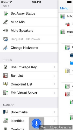 TeamSpeak 3 для iOS - меню TeamSpeak 3 для iOS - меню