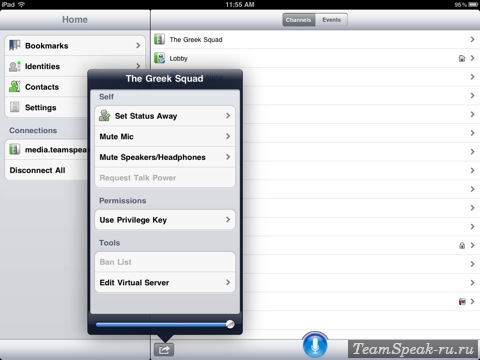 TeamSpeak 3 для iPAD - опции TeamSpeak 3 для iPAD - опции